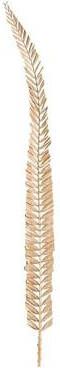 Leen Bakker Palmblad naturel 120 cm