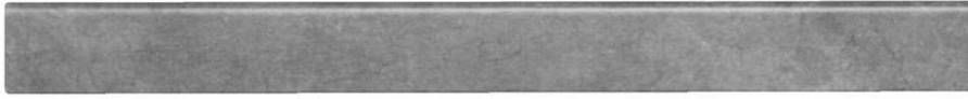 Leen Bakker Plakplint Stone-Slate antraciet 240x2 2x0 5 cm