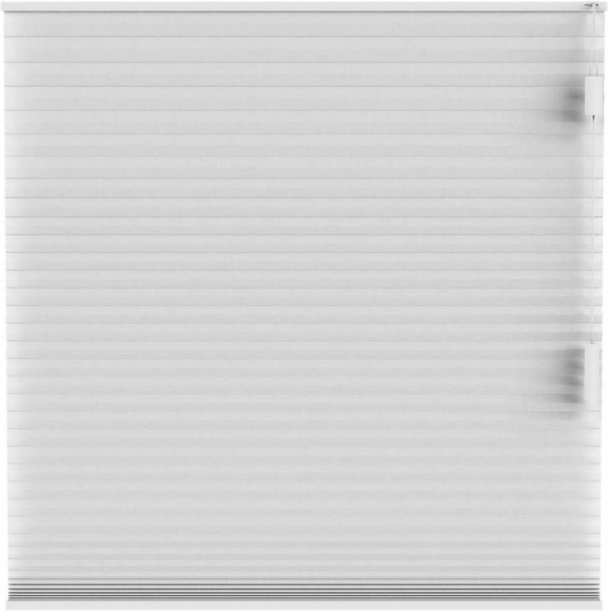 Leen Bakker Plisségordijn dubbel 25mm lichtdoorlatend wit (10323)