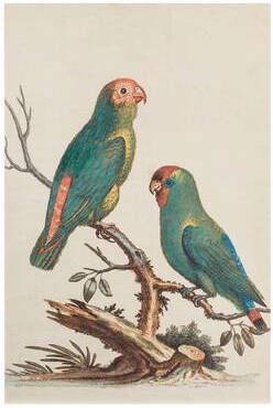 Leen Bakker Print op hout vogels beige groen 60x40 cm
