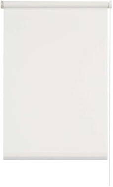 Leen Bakker Rolgordijn lichtdoorlatend transparant wit 60x190 cm