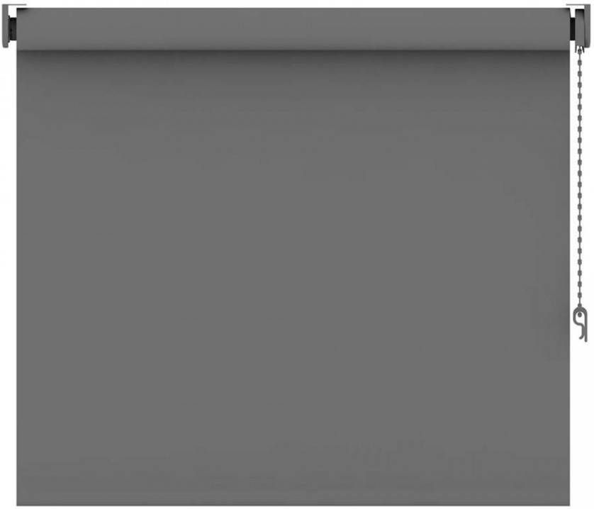 Leen Bakker Rolgordijn verduisterend grijs 120x160 cm