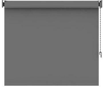 Leen Bakker Rolgordijn verduisterend grijs 150x160 cm