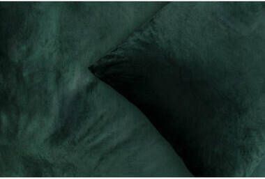 Leen Bakker Royal dekbedovertrek Elina effen groen 200x200 220 cm