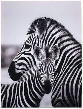 Leen Bakker Schilderij Zebra canvas 60x45 cm