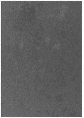 Leen Bakker Vloerkleed Moretta antraciet 120x170 cm