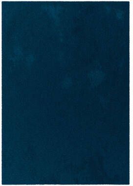 Leen Bakker Vloerkleed Moretta blauw 160x230 cm