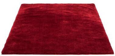 Leen Bakker Vloerkleed Tessa rood 160x230 cm
