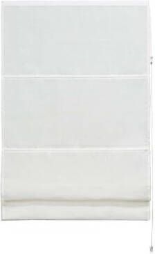 Leen Bakker Vouwgordijn transparant wit 100x180 cm