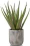 COCO maison Kunstplant Aloe plante 50cm - Thumbnail 2