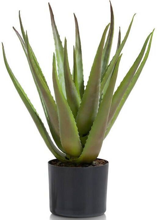 COCO maison Kunstplant Aloe plante 50cm