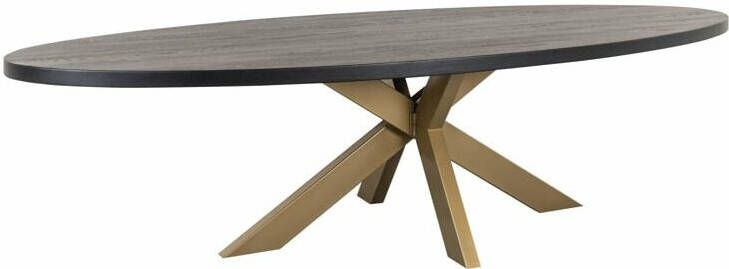 Richmond Interiors Richmond Ovale Eettafel Watson 300 x 120cm Zwart Goud