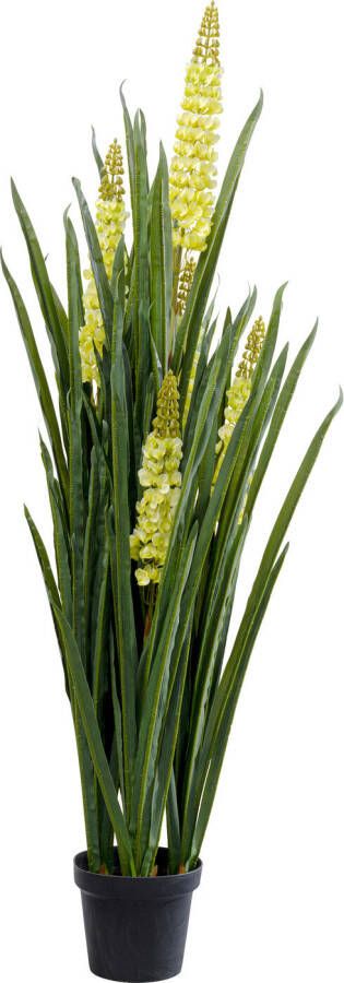 Kare Design Kare Kunstplant Rhynchostylis 150cm