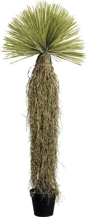 Kare Design Kare Kunstplant Yucca 180cm