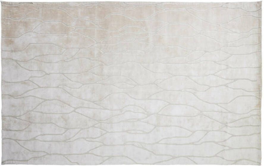 Light & Living Vloerkleed Latis 230x160x0.5cm Grijs