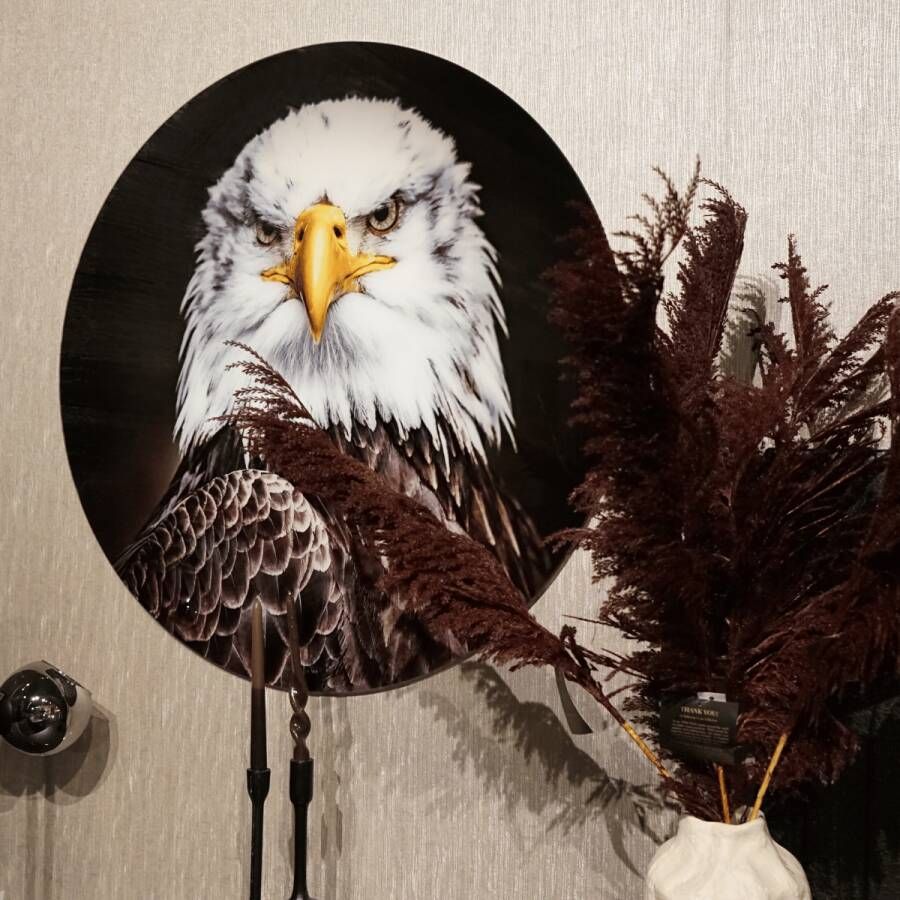 Max Wonen Glasschilderij Bald Eagle | Rond 100cm