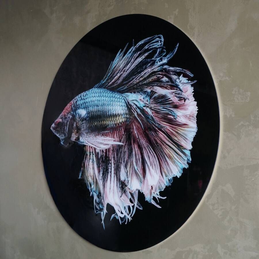 Max Wonen Glasschilderij Betta Fish | Rond 100cm