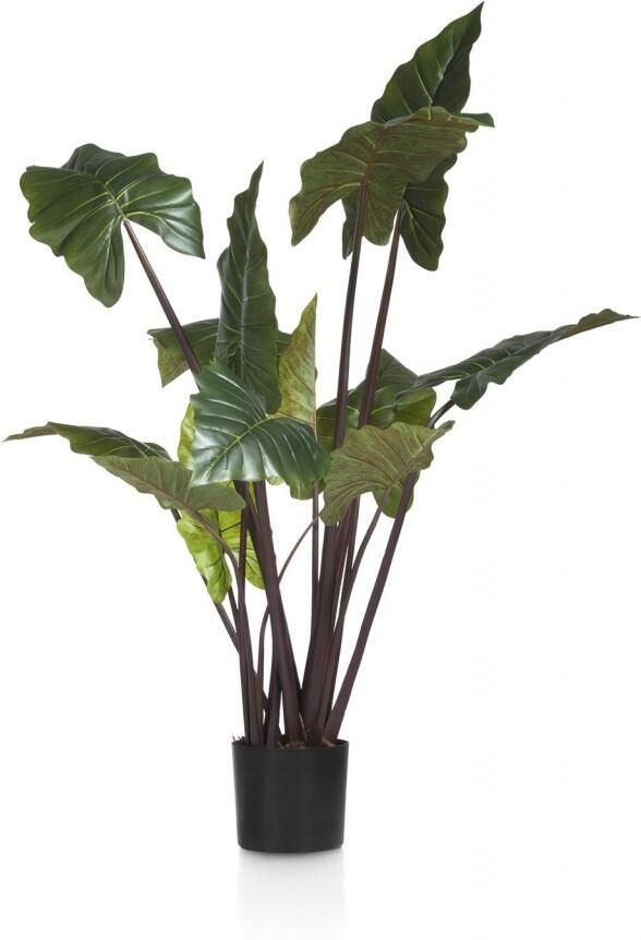 COCO maison | Colocasia H130cm | Woonaccessoires | Kunstplant