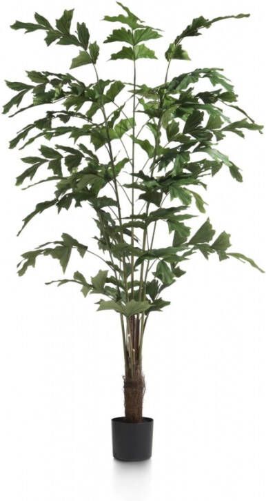 Coco maison Kunstplant Fishtail palm