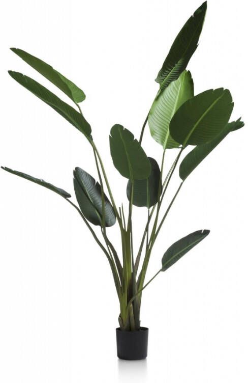 COCO maison | Strelitzia Nicolai 150 cm | Woonaccessoires | Kunstbloem