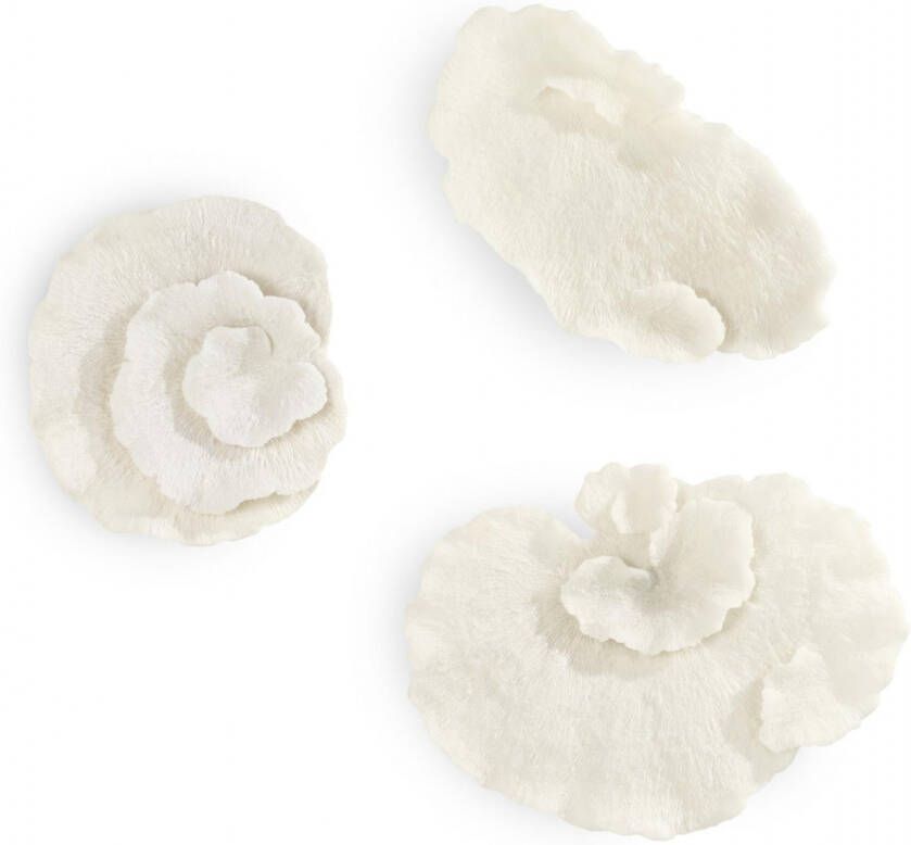 Coco maison Wanddecoratie Coral