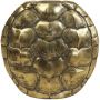 Light & Living Light &Living TURTLE Vase L 51x14x50 cm Antiek Goud Schildpad Decoratie Vaas Woondecoratie Schild Gold Dieren Vazen - Thumbnail 3