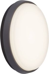 AEG Led-wandlamp voor buiten Letan Led wandbuitenlamp 24 cm antraciet wit (1 stuk)