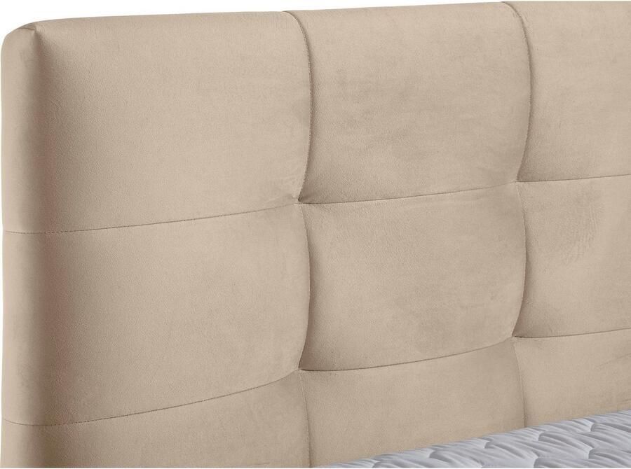 Andas Boxspring Salo XXL in fluwelige look of structuurstof 6 breedten in extra lang 220 cm 4 hardheden