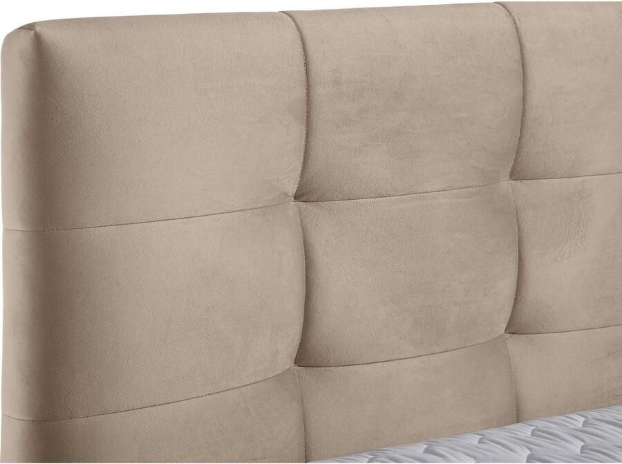 Andas Boxspring Salo XXL in fluwelige look of structuurstof 6 breedten in extra lang 220 cm 4 hardheden