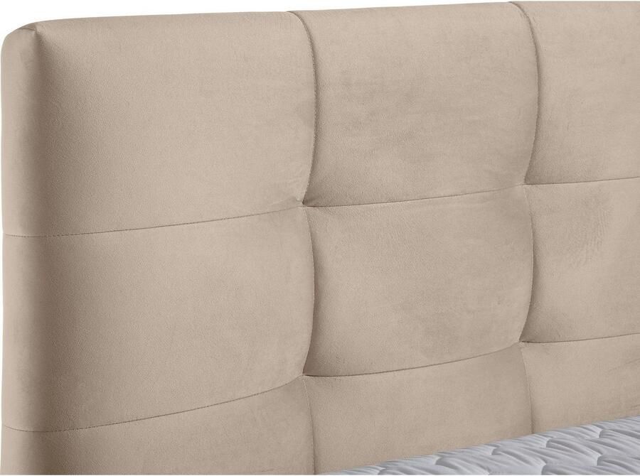 Andas Boxspring Salo XXL in fluwelige look of structuurstof 6 breedten in extra lang 220 cm 4 hardheden