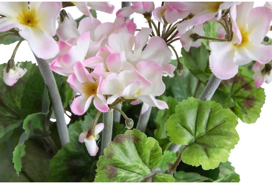 Botanic-Haus Kunst-potplanten Geraniums in een zwarte kunststof pot (1 stuk)