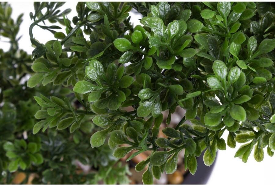 Plantenwinkel.nl Plantenwinkel Kunstplant Bonsai ficus mini M - Foto 3