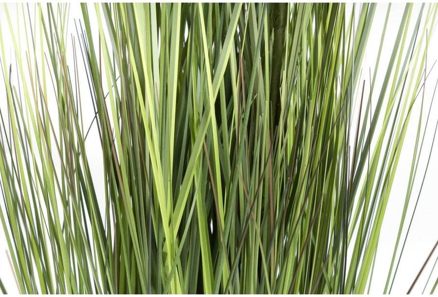 Nova Nature (Best) King festuca green in pot 150cm - Foto 3