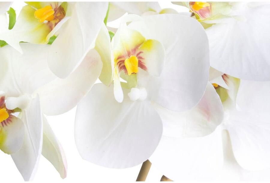 Nova Nature (Best) RT Phalaenopsis Bora x3 in pot 60cm white - Foto 2