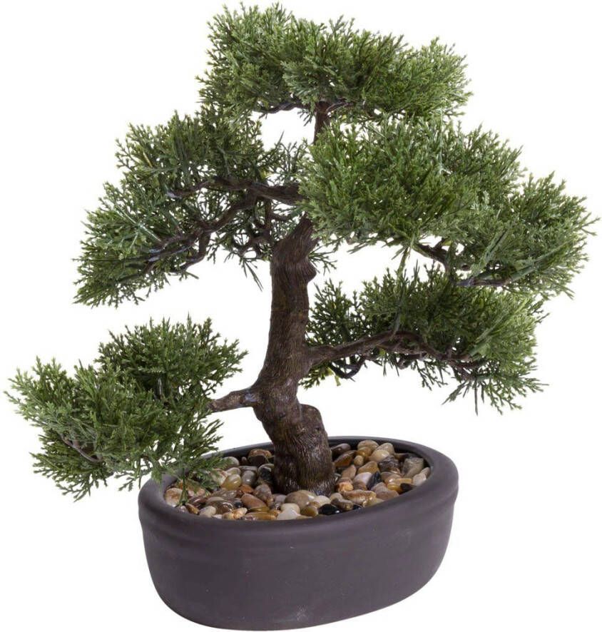 Botanic-Haus Kunstbonsai Ceder Bonsai (1 stuk)