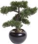 Plantenwinkel.nl Plantenwinkel Kunstplant Bonsai cedar M in pot - Thumbnail 2