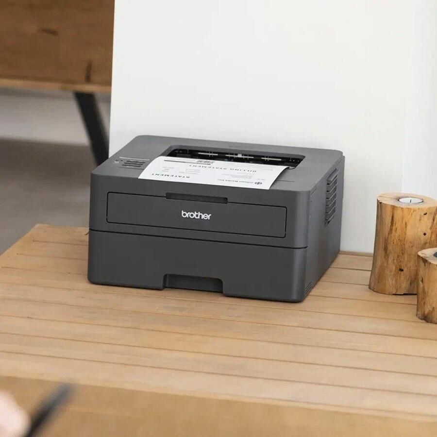 Brother EcoPro HL-L2400DWE | Printers | 4977766831048