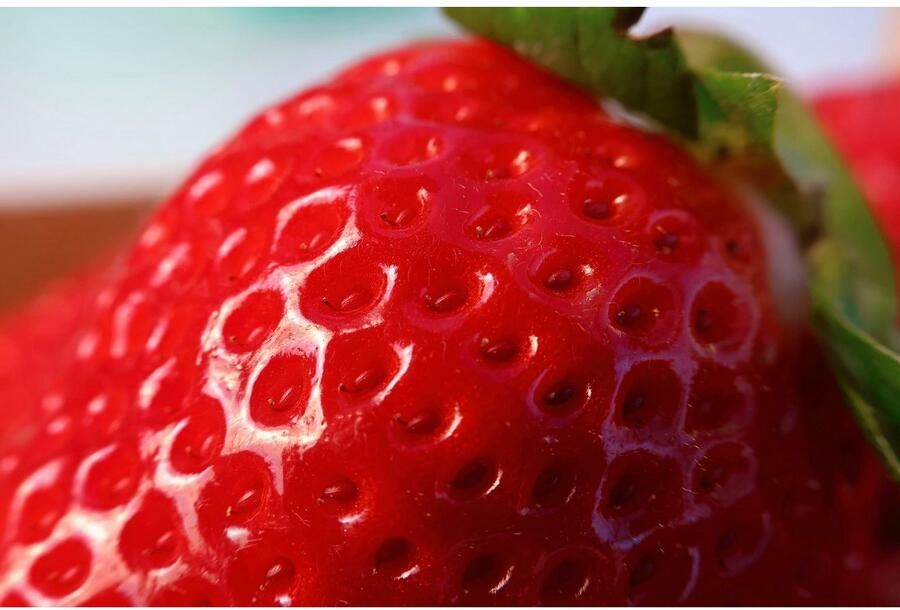 Canon Objectief RF-S 18-150 mm F3.5-6.3 IS STM Geschikt voor EOS R-systeemcamera's (bijv. EOS R100 R50 R10 R7) - Foto 5