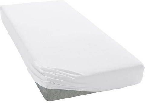 Cinderella Hoeslaken Jersey in mt. 90x200 140x200 of 180x200 cm voor topmatras (1 stuk)