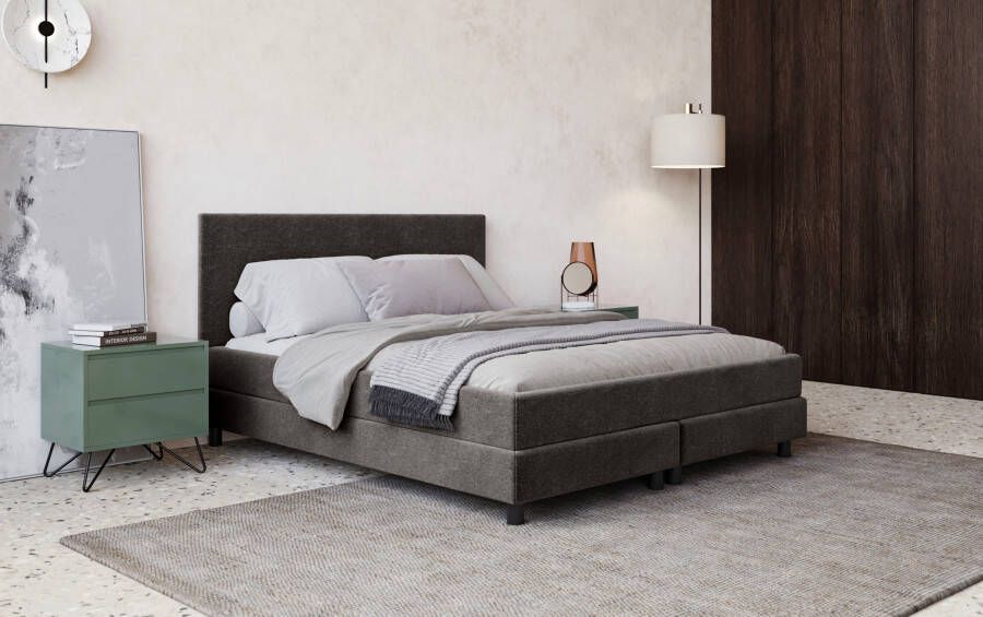 COTTA Boxspring Andorra