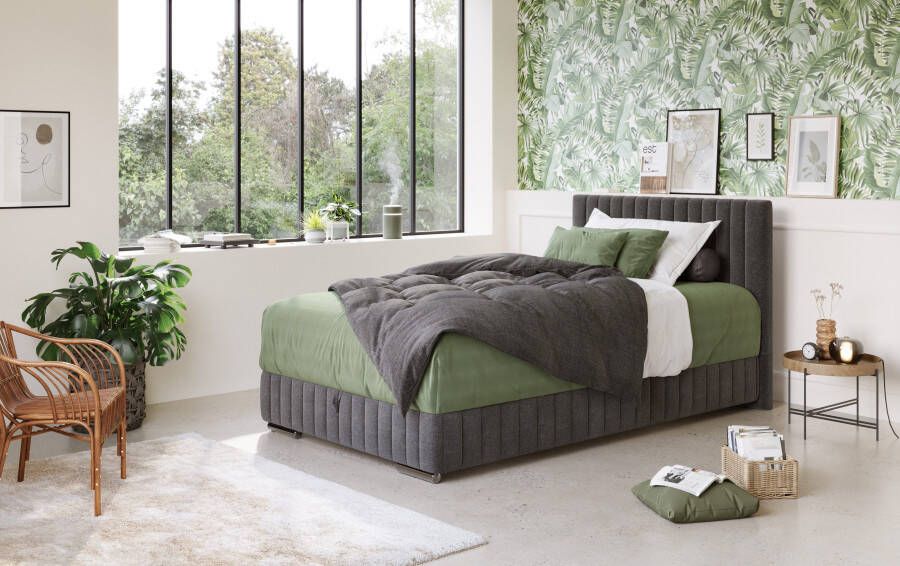 COTTA Boxspring Beetle incl. matrastopper en bedlade