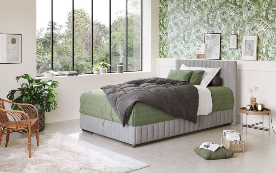 COTTA Boxspring Beetle incl. matrastopper en bedlade