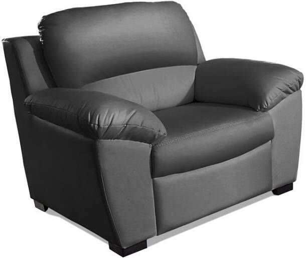 COTTA Fauteuil Dani