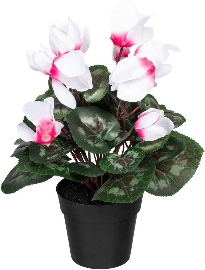Creativ green Kunst-potplanten Cyclaam (2 stuks)