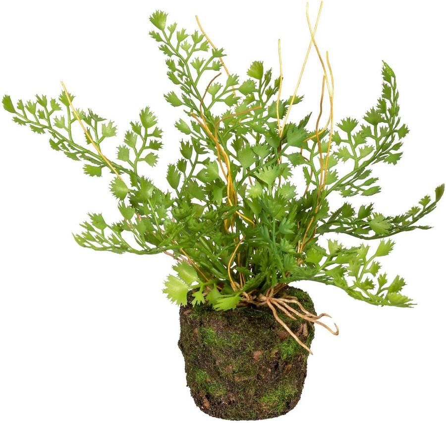Creativ green Kunst-potplanten Set varenplanten op kluit (3 stuks)