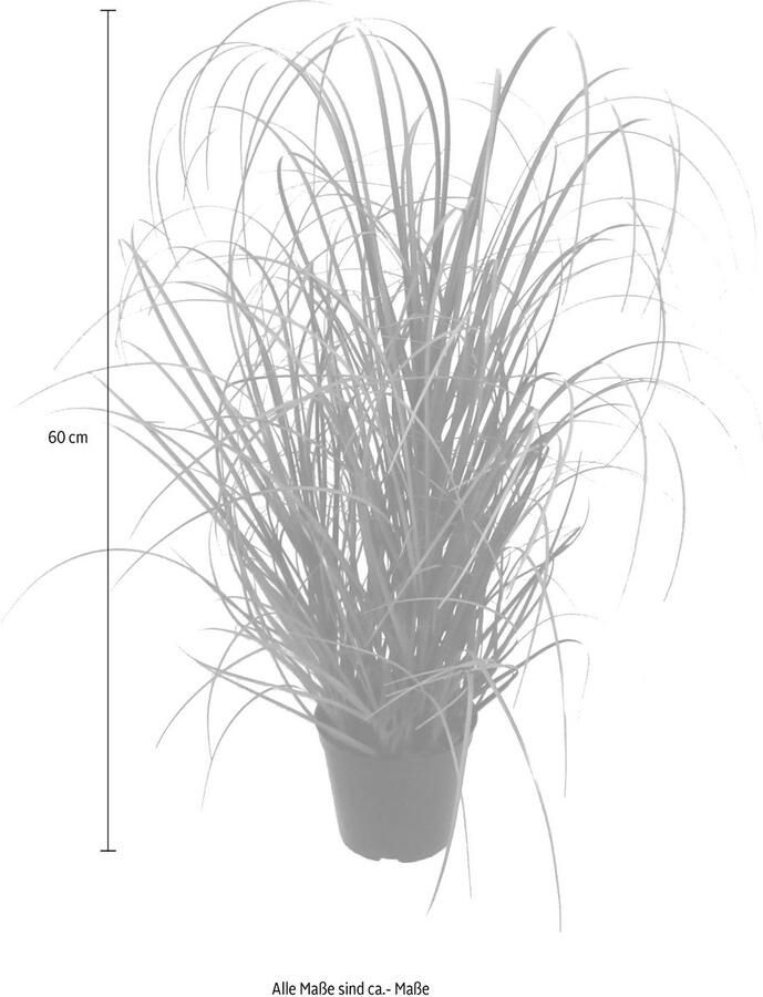 Creativ green Kunstgras Gras (1 stuk)