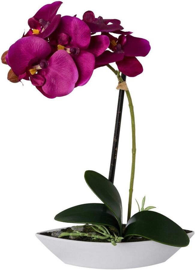 Creativ green Kunstorchidee Vlinderorchidee set van 2 in een plastic bakje (2 stuks)