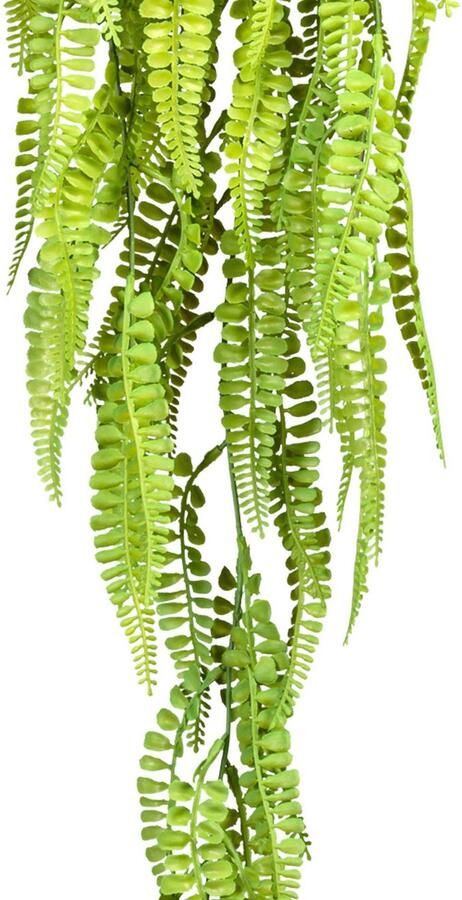 Creativ green Kunstplant Adianthumhanger (2 stuks)