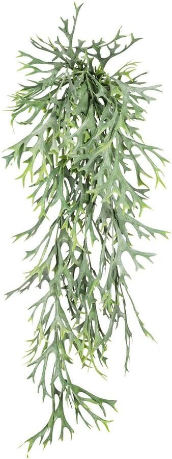 Creativ green Kunstplant Hangende hertshoornvaren (2 stuks)