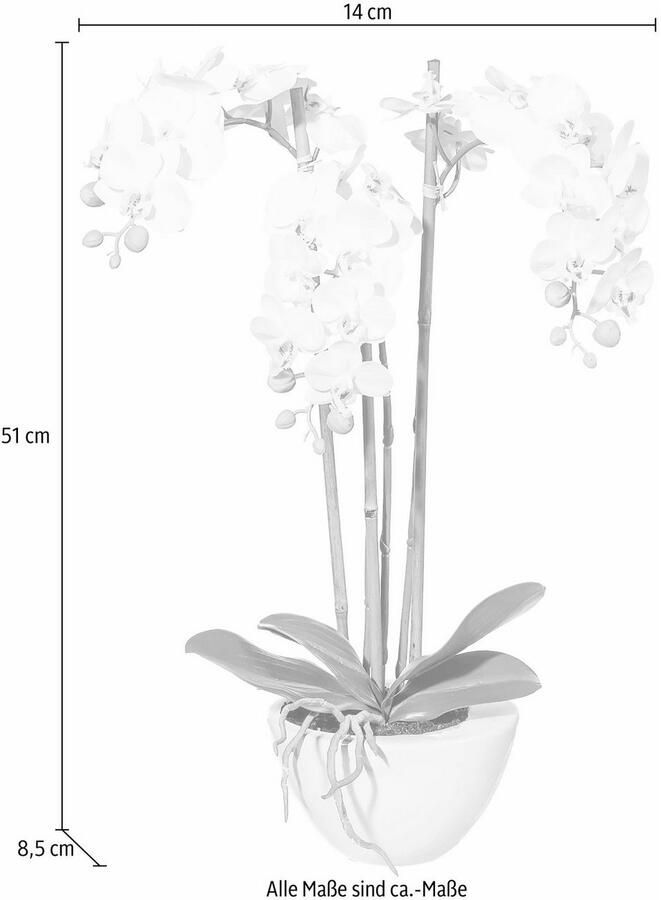 Creativ green Kunstplant Mini orchidee (1 stuk)